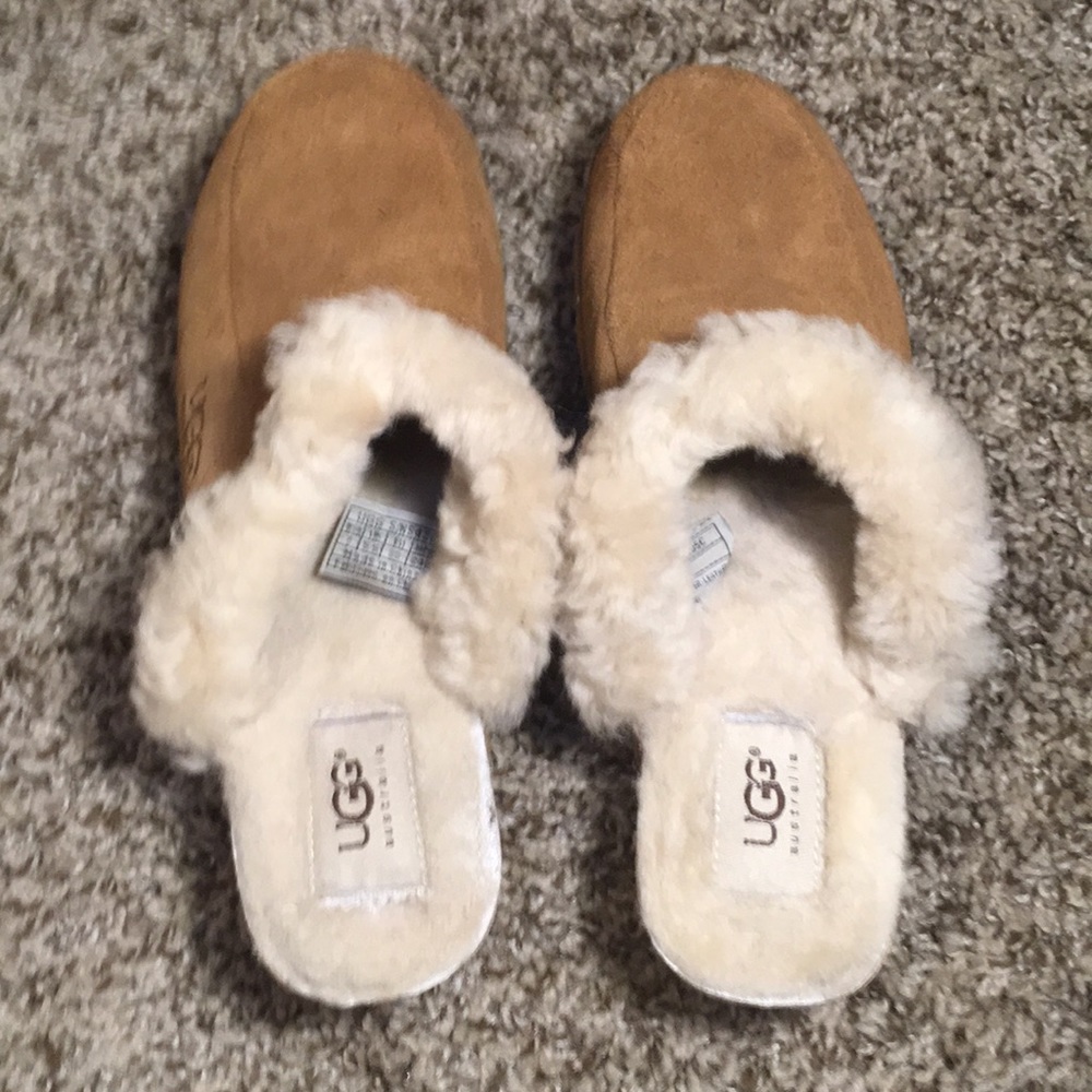 Ugg wooden clogs